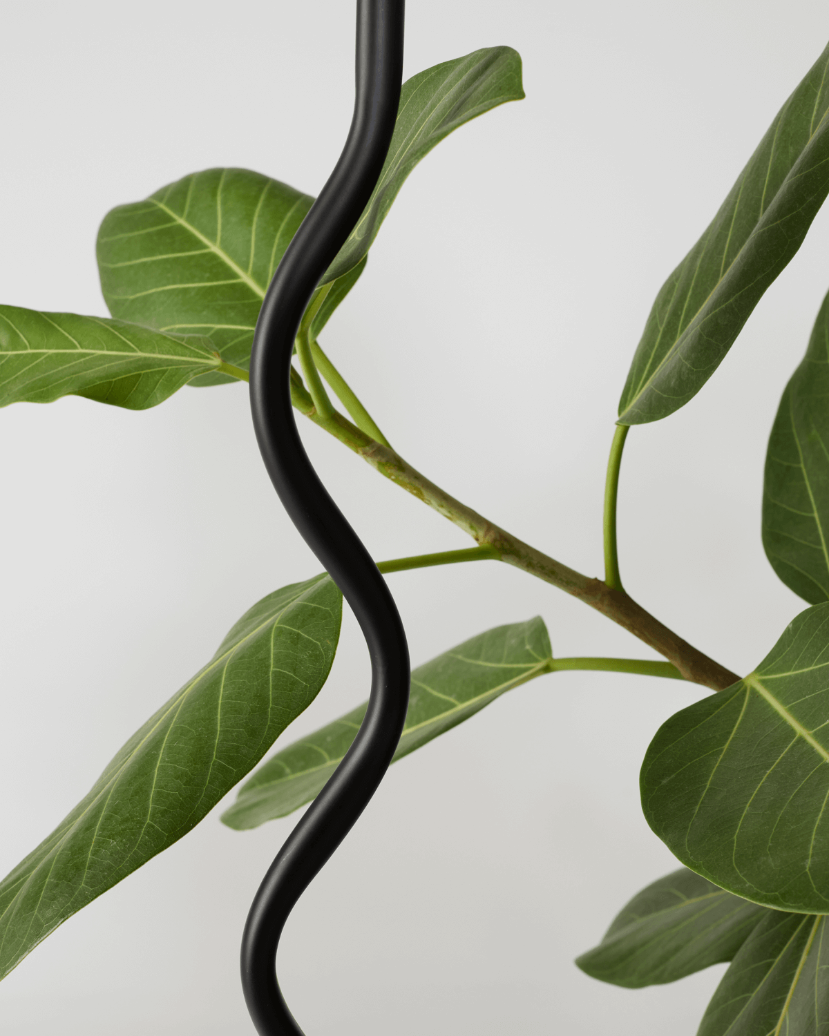 Squiggle Floor Lamp - Image 9